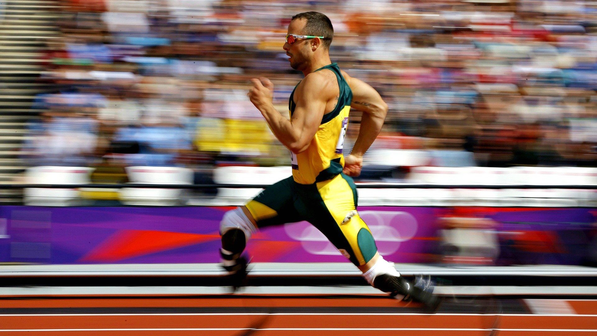 贾瓦迪800米自由泳力拼佳绩,贾瓦迪获男子800米自由泳金牌