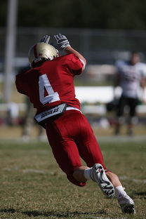 下载乐鱼体育APP-希克：新帅要求高，后卫们的表现没让人失望，希克自曝想踢英超 曾与两队接触最终却投奔