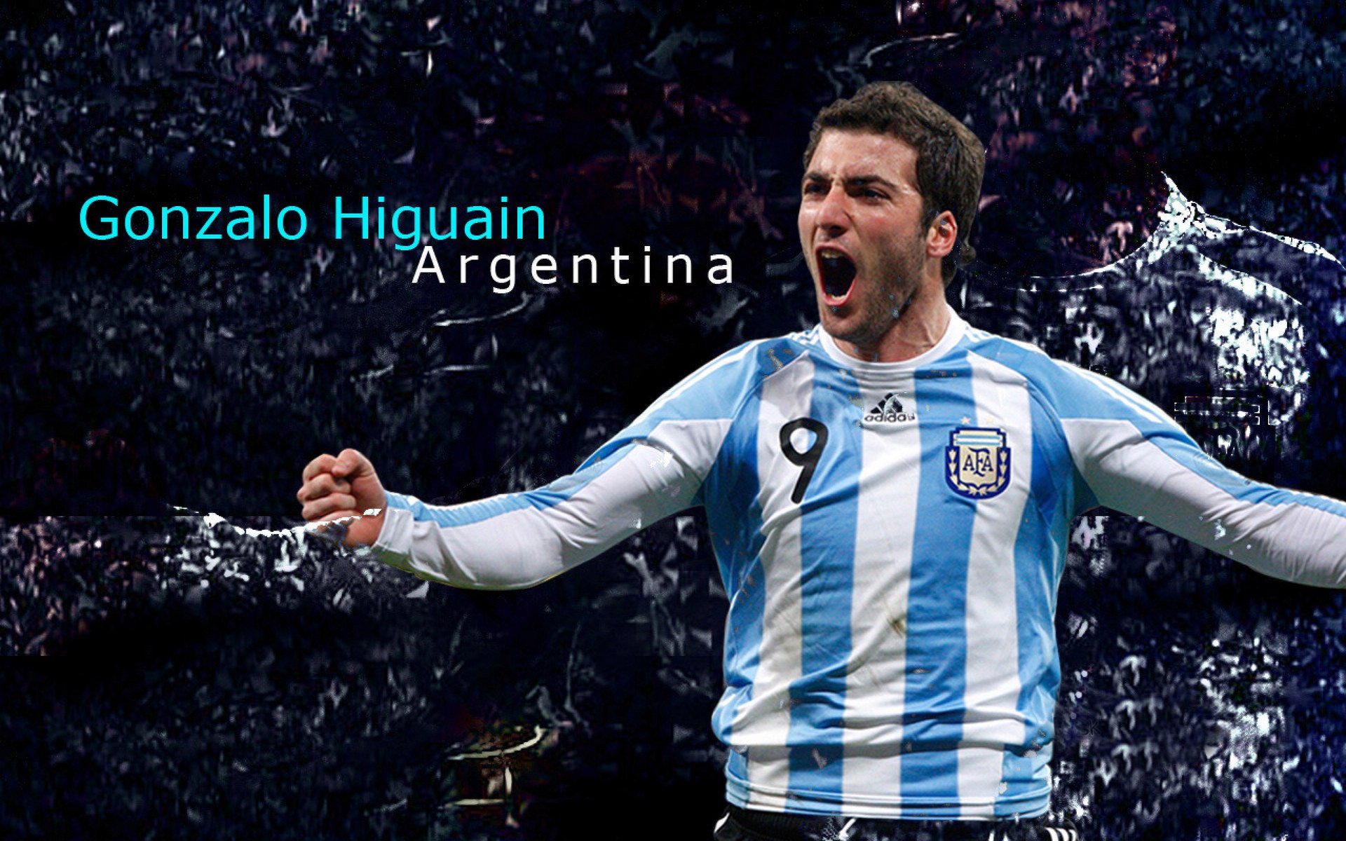 张雨霏：登上另一座山顶，续写辉煌篇章，专访张雨霏